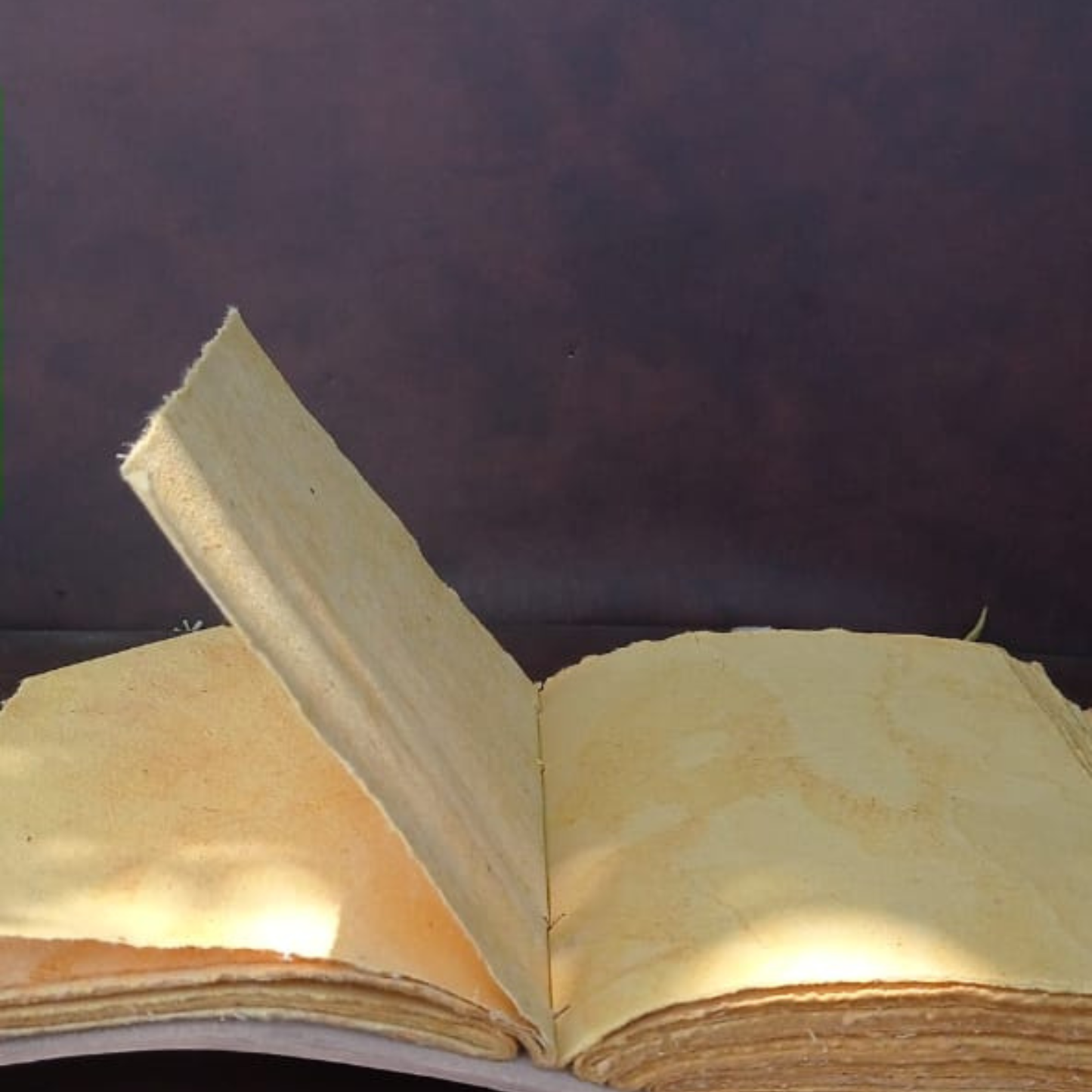 Prastara - Metal Lock Luna Moth Butterfly UV Printed Design 7X5" Handcrafted Leather Journal/Diary 200 Pages | 100% Genuine Leather